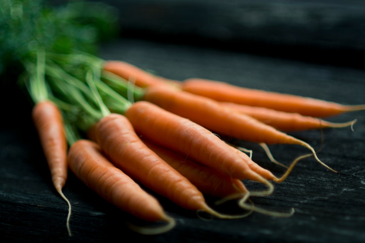 Cavoli ricci con nutrienti oculari